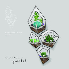 Cactus and succulent inside the quartet geometrical terrarium (florarium). Vector illustration.
