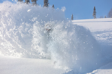 Fototapete bei efototapeten.de bestellen   