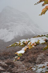 Hiking in the windy and snowy mountains of the Torres del Paine National Park in Patagonia, Chile
