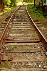 Fototapeta na wymiar vertical image of empty railroad tracks in the countryside