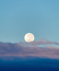 Naklejka na ściany i meble full moon in a blue sky with clouds