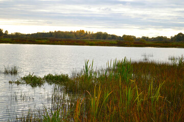 Beautiful autumn landscape with lake and meadow in grey day before the rain. Northern Europe. October.  

