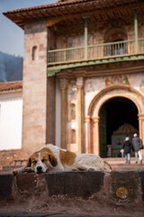 ペルーのアンダワイリリャス・カトリック教会と犬