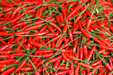 たくさんの唐辛子