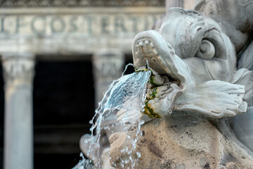Fototapeta na wymiar Fontana del Pantheon particolare