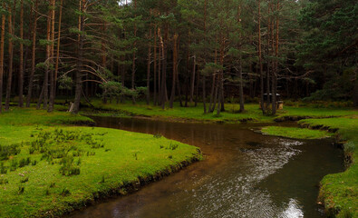 River of Quintanar de la Sierra in Burgos