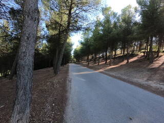 Dirt road on Mount Jabalcuz, Torredelcampo