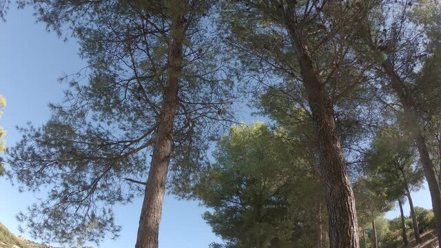 Video of the forest and mount Jabalcuz in Torredelcampo, Ja&eacute;n
