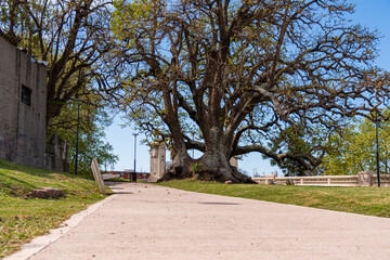 
urban park on the coast of Montevideo next to the bay