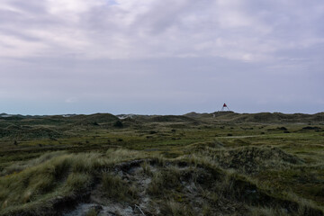 Fototapeta na wymiar Danish dune landscape near Hvide Sande with a sea mark at sunset