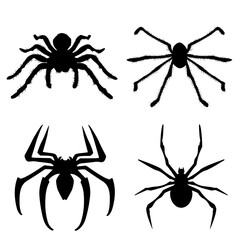 Black spiders set. Vector silhouette spiders. Isolated spiders set.