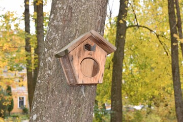 bird house on tree