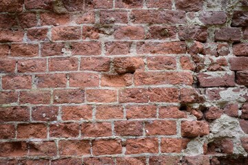 Fototapeta premium old brick wall