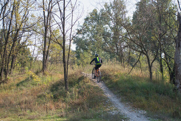 ciclista mentre percorre un sentiero nel bosco