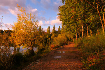 Naklejka premium Country landscape with a lake. Sunny blue sky with clouds. A place of relaxation at the water's edge. Vegetation in the foreground.
