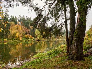 Fototapeta na wymiar magical autumn trees reflecting in the water of a quiet forest lake