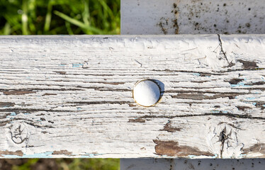 Texture of old wood, covered with white paint