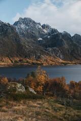 Uninhabited Lofoten Islands during Covid-19 pandemic situation in autumn. No tourists and very quiet and peaceful fall mood. View into fjord with spectacular mountains with fresh snow around.
