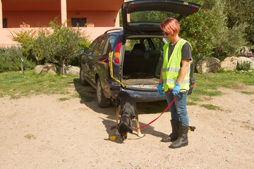 police k9 drug dog looking for drug packet in rear hood of car accompanied by policeman