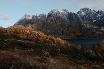 Naklejka premium Uninhabited Lofoten Islands during Covid-19 pandemic situation in autumn. No tourists and very quiet and peaceful fall mood. View into fjord with spectacular mountains with fresh snow around. 