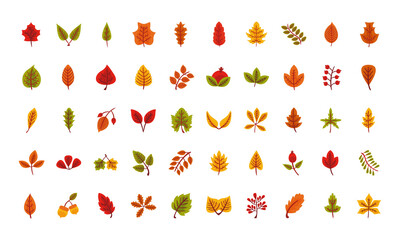 bundle of fifty autumn leaves flat style icons
