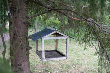 Fototapeta na wymiar birdhouse made of wood on coniferous tree
