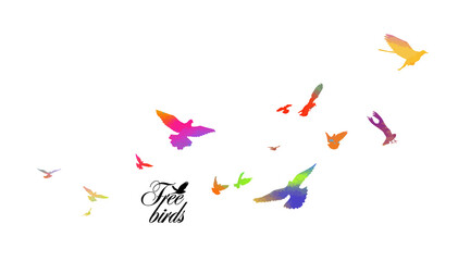 Bird watercolor. A flock of colorful birds. Mixed media. Vector illustration