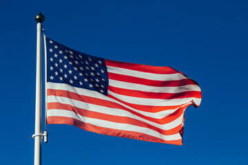 Fototapeta premium American flags against beautiful sky at sunset. Perfect background for Memorial day, Independence Day and Veterans Day. American patriotism concept. 