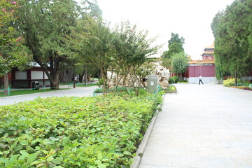 garden in the park