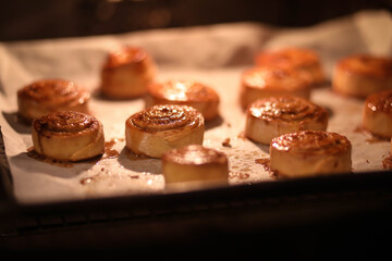 rosy cinnamon rolls on a baking sheet in the oven, sweet rolls in the oven