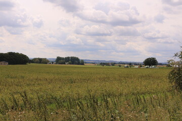 Weite Felder am Alleenradweg zwischen Unna und Hamm in Nordrhein-Westfalen
