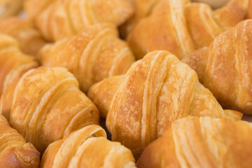 Fresh croissant,on white background.
