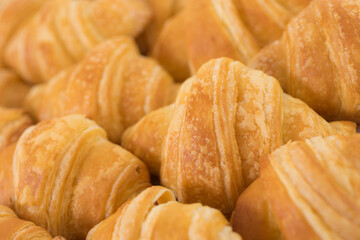 Fresh croissant,on white background.