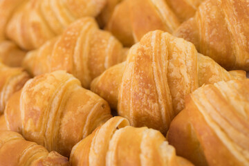 Fresh croissant,on white background.