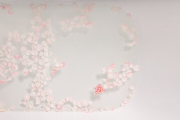 Top view of a bathtub filled with water with rose petals. Background for text. Spa care at home.