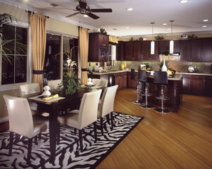 Kitchen Interior Home Design of House