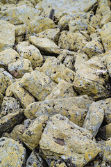 a pile of large stones, with the stones overgrown with moss, Qurum.