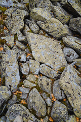 a pile of large stones, with the stones overgrown with moss, Qurum.