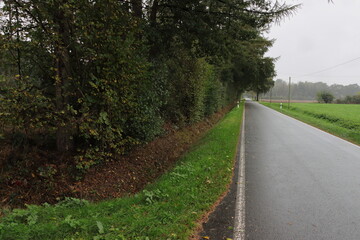 Landstraße im Regen