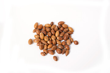 the nuts of the argan tree (Argania spinosa) on a white background. For the production of argan oil