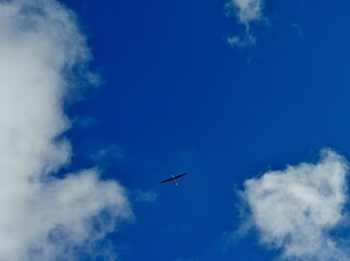 Segelflugzeug hoch im blauen Himmel