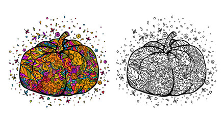 Pumpkin. Set of hand drawn color doodling isolated on a white background. Vector coloring page.