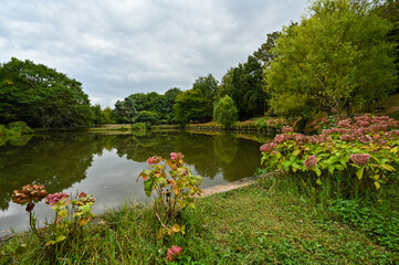 Fototapeta na wymiar Ataturk Arboretum on autumn season and pond. 