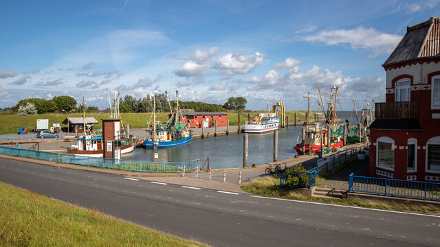 Fischtrawler im Hafen von Tammensiel