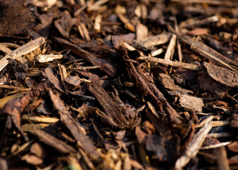 bark chipping