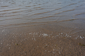 Green algae on the shore in the sea Natural, background.