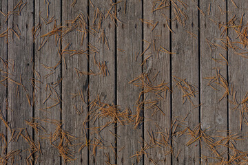 Fallen pine needles on a wooden background.