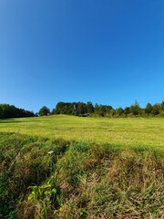 Obraz premium Landschaft mit blauem Himmel