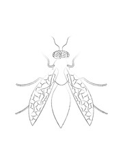 Hand drawn illustration of wasp isolated on white. Vector vintage element for design