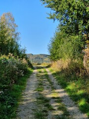 Wirtschaftsweg